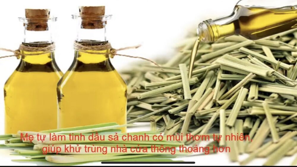 chung cat tinh dau